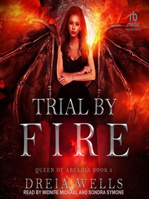 Cover image for Trial by Fire